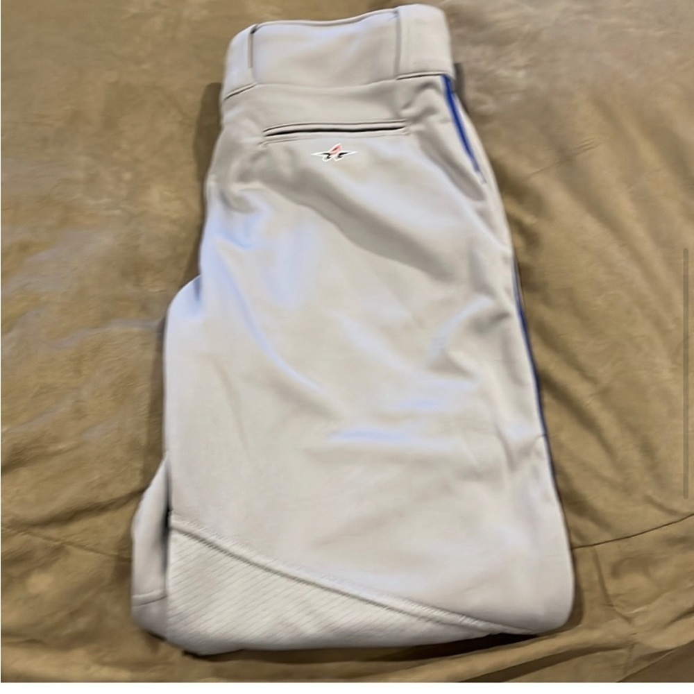 Alleson Youth XL Baseball Pants. 1 gray Royal blue pipping. Never worn